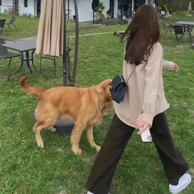 梦想夏乡